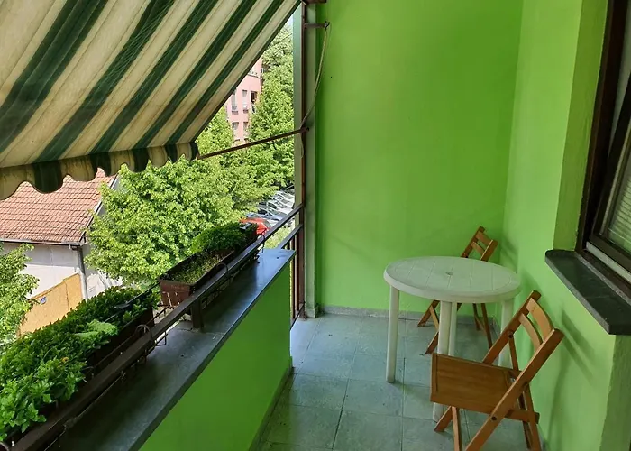 Yellow House * נובי סאד